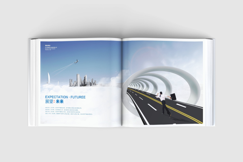 金东区画册设计